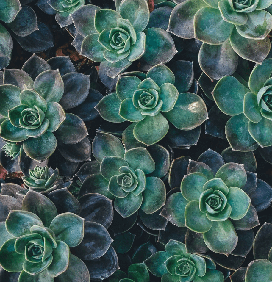 SENER Aeroespacial will build the Manipulator for the primary mirror segments of the ESO’s ELT telescope